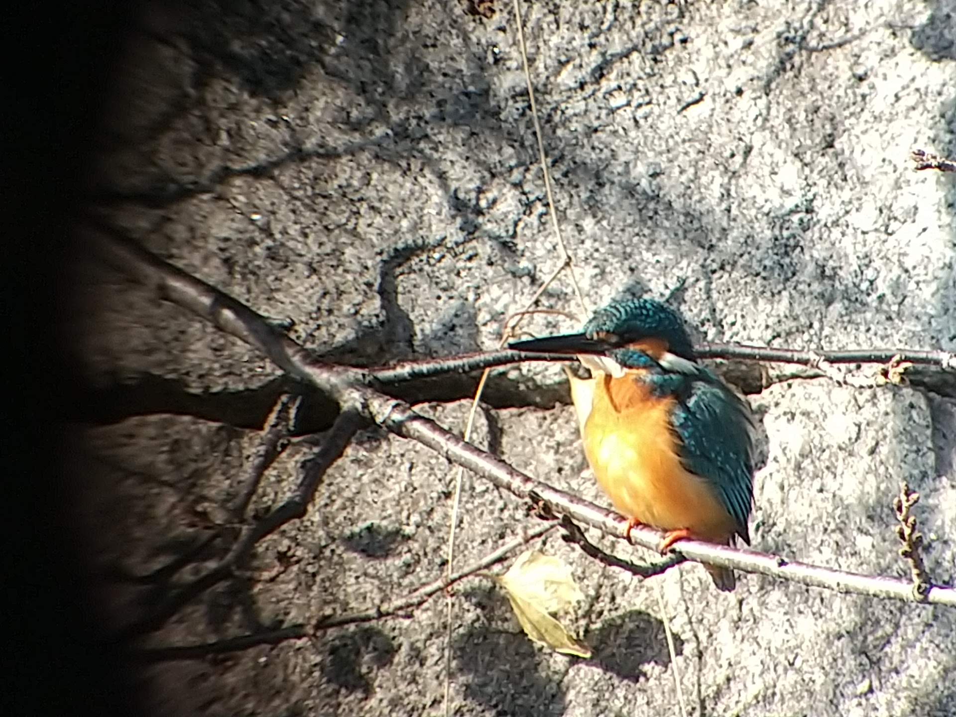 鳥の置物　挑戦力を高める　視野を広く　活性　お守り　浄化　洞察力の向上　天然石 叙景 jokei‎‏ | ‏‎. 11/28(金)21:00 新商品出品予定 その② 福建省産